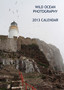 2013 Calendars
